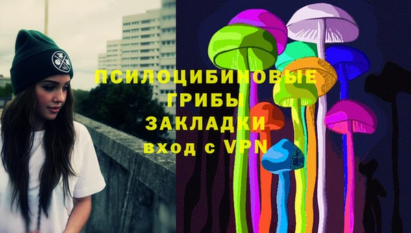 прущая мука Алзамай