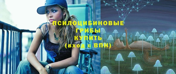 прущая мука Алзамай