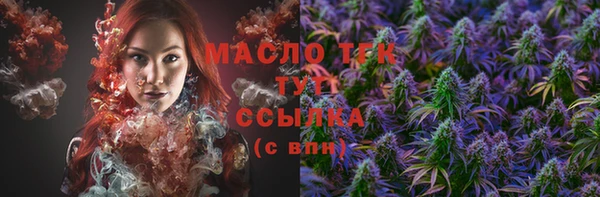 стафф Новозыбков
